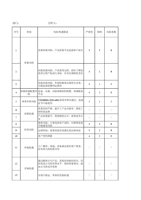 风险和机遇评估分析表