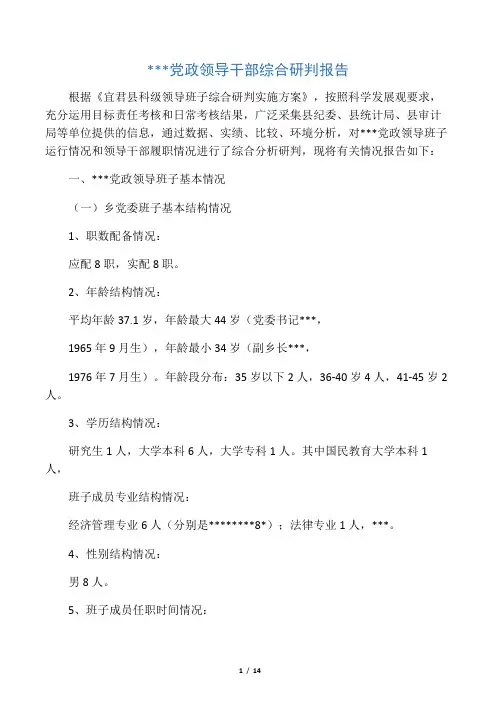 班子研判报告