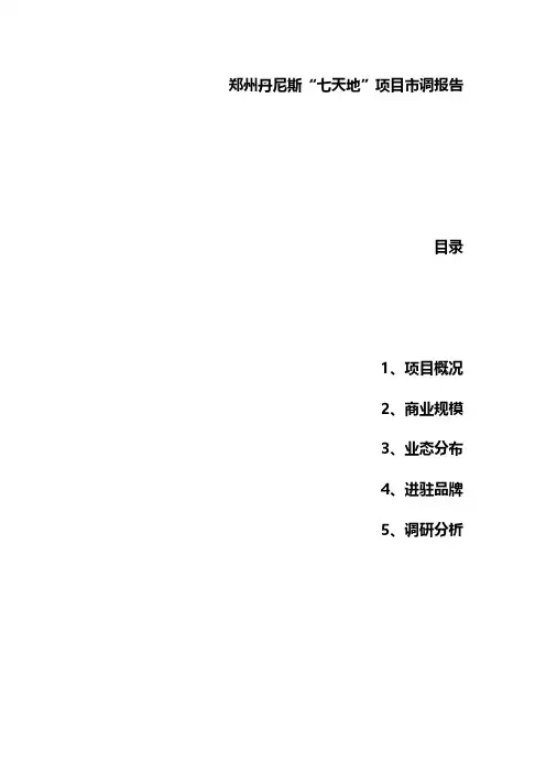 郑州市郑东新区丹尼斯七天地调研报告
