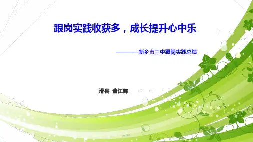 跟岗实践总结反思  ppt课件