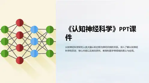 《认知神经科学》课件