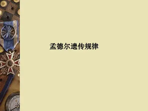 孟德尔遗传规律PPT课件