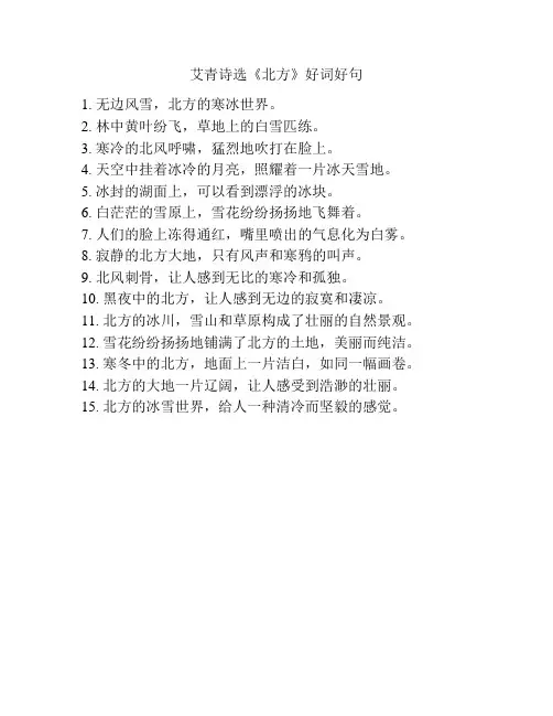 艾青诗选《北方》好词好句