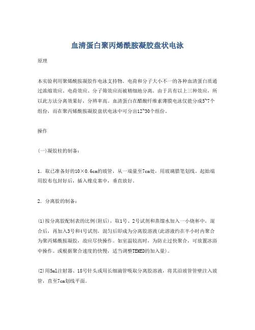 血清蛋白聚丙烯酰胺凝胶盘状电泳
