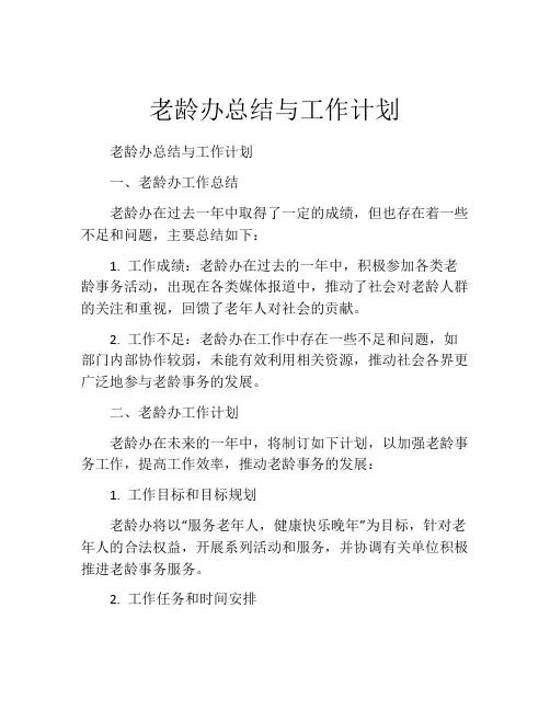 老龄办总结与工作计划