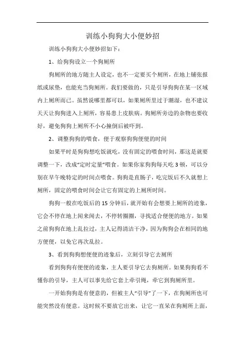 训练小狗狗大小便妙招