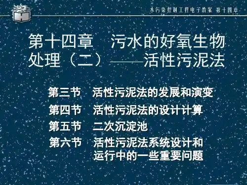 水污染控制工程第十章-污水的好养生物处理法活性污泥法
