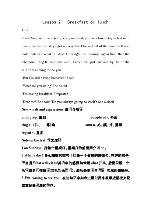 新概念英语教案第二册第二课完美版