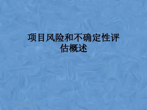 项目风险和不确定性评估概述
