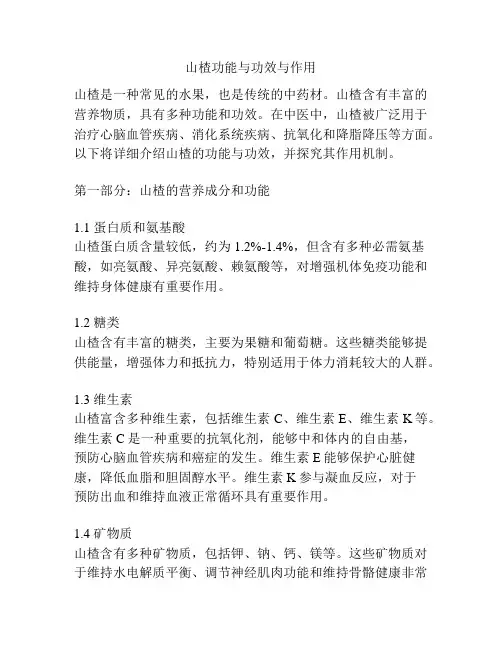 山楂功能与功效与作用