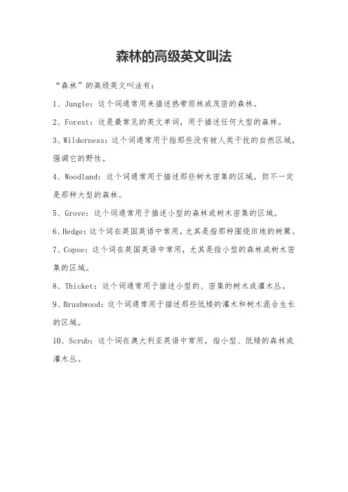 森林的高级英文叫法