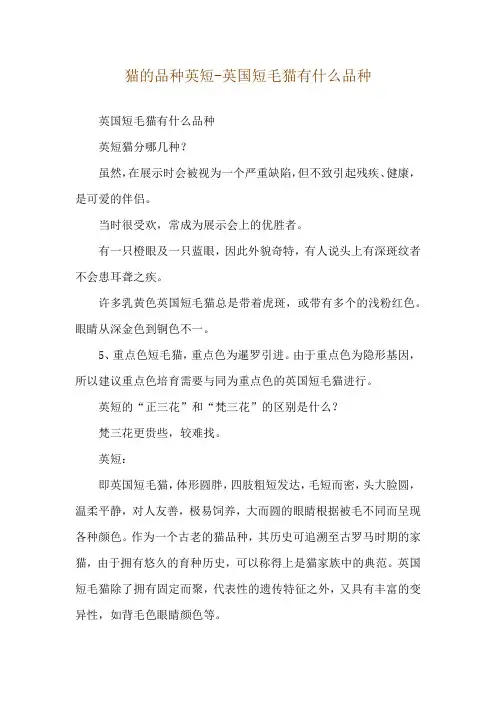猫的品种英短-英国短毛猫有什么品种