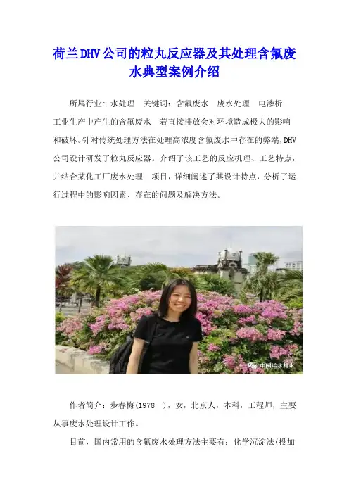 荷兰DHV公司的粒丸反应器及其处理含氟废水典型案例介绍
