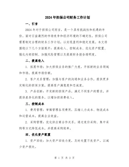 2024年担保公司财务工作计划