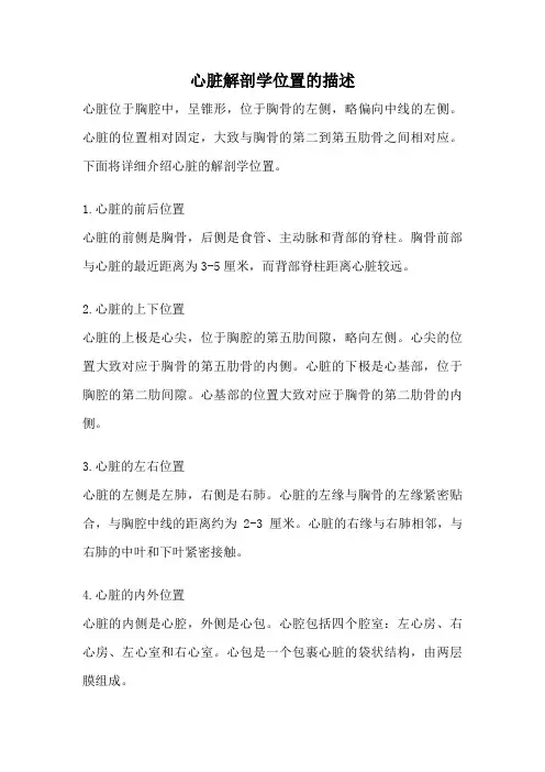 心脏解剖学位置的描述