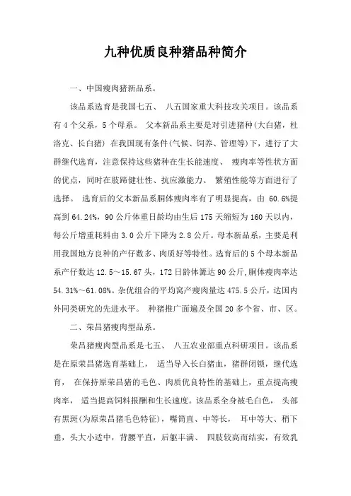 九种优质良种猪品种简介