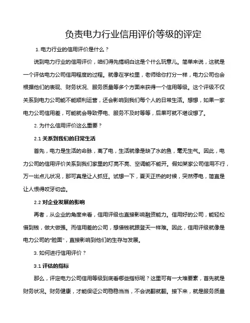 负责电力行业信用评价等级的评定