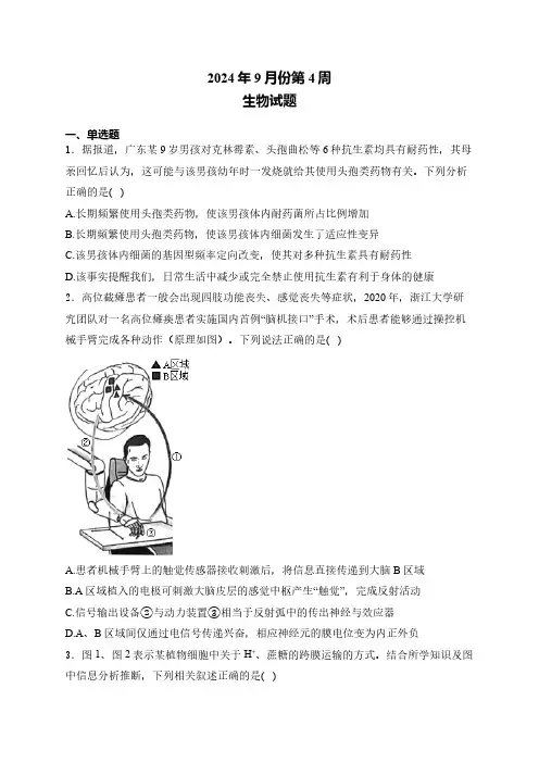 湖南衡阳名校2025届高三一轮复习周周练 9月第4周 生物学试题(含解析)