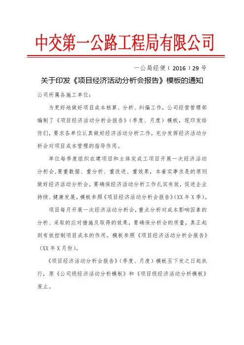 项目经济活动分析会报告模板