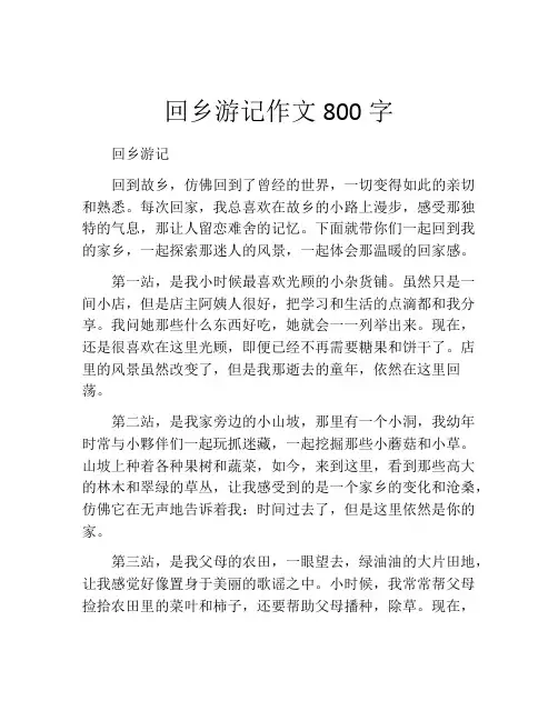 回乡游记作文800字