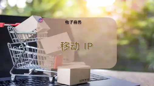 移动-IP