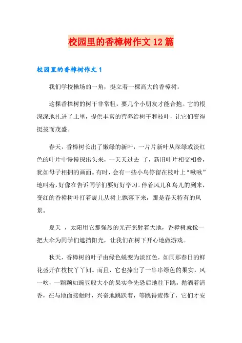 校园里的香樟树作文12篇