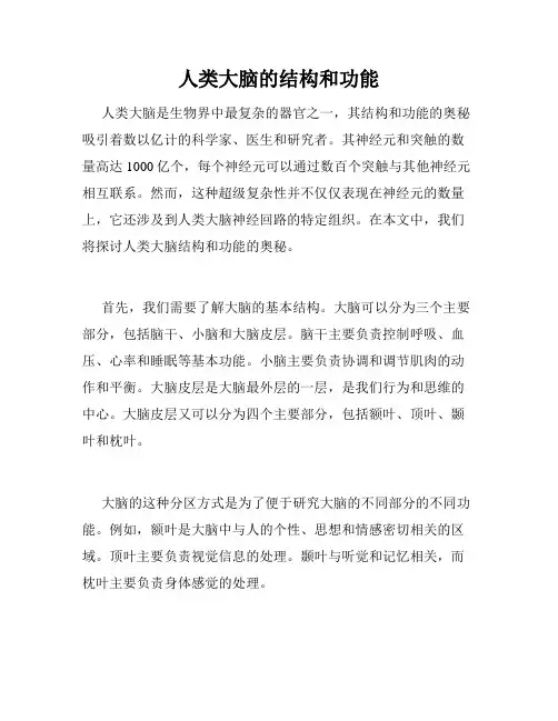 人类大脑的结构和功能