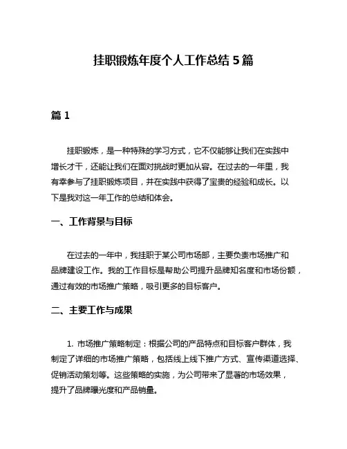 挂职锻炼年度个人工作总结5篇