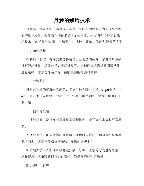 丹参的栽培技术