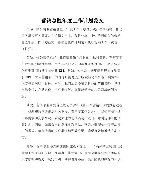 营销总监年度工作计划范文