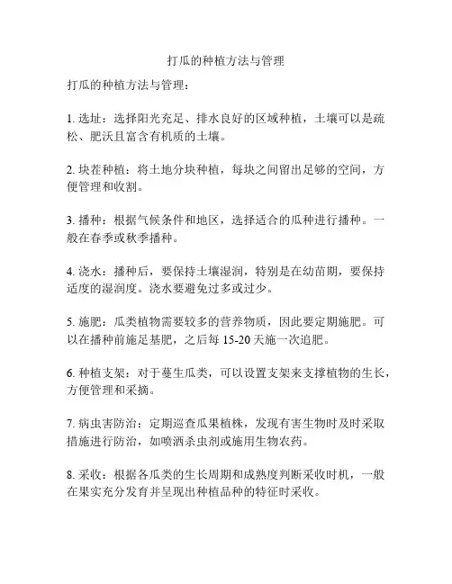 打瓜的种植方法与管理