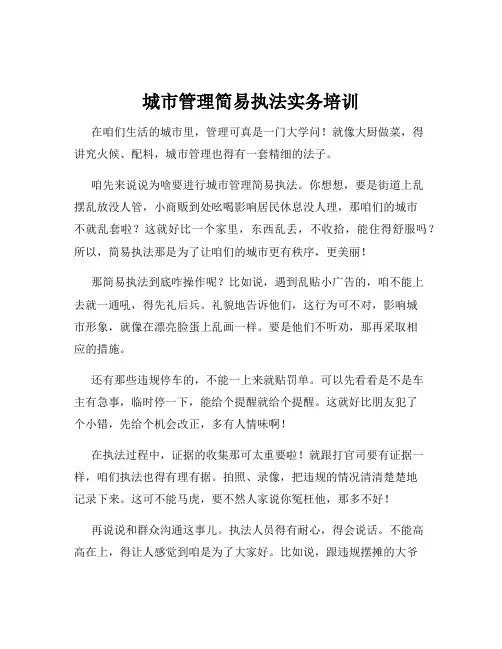城市管理简易执法实务培训