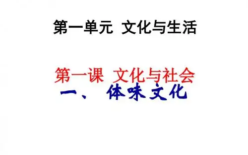 人教版高二政治必修三 11体味文化 课件 (共35张PPT)