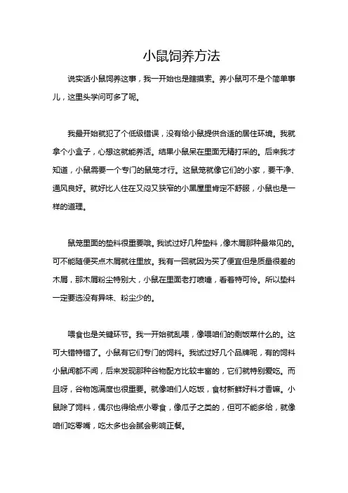 小鼠饲养方法