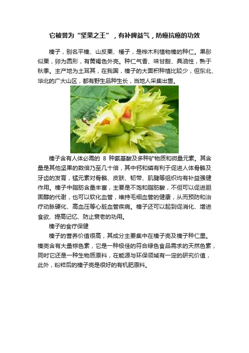 它被誉为“坚果之王”，有补脾益气，防癌抗癌的功效