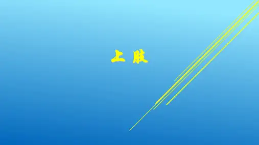 7.局解-上肢