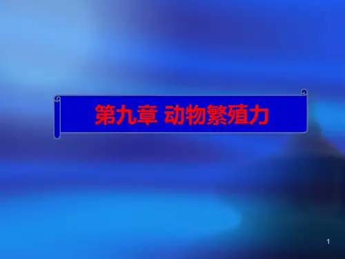 动物繁殖力ppt课件