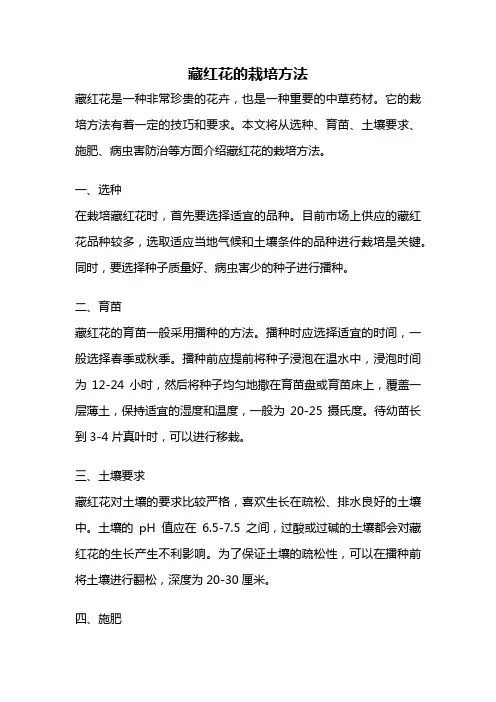 藏红花的栽培方法