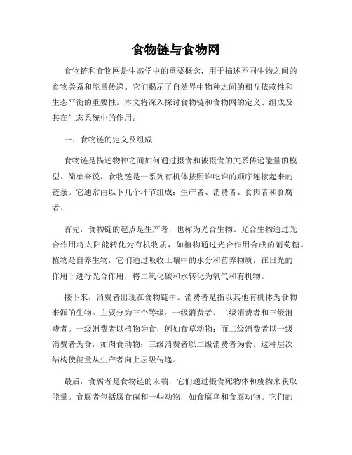食物链与食物网