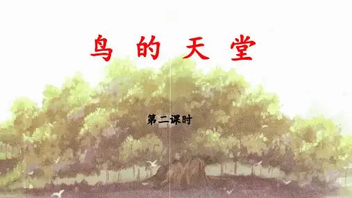 《鸟的天堂》优秀课件(第二课时)