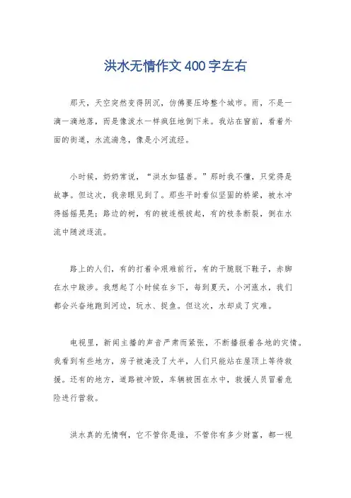 洪水无情作文400字左右