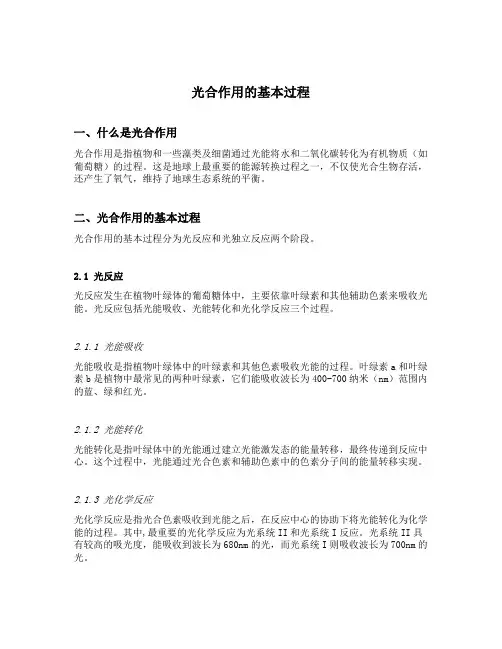 描述光合作用的基本过程