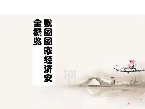 经济安全