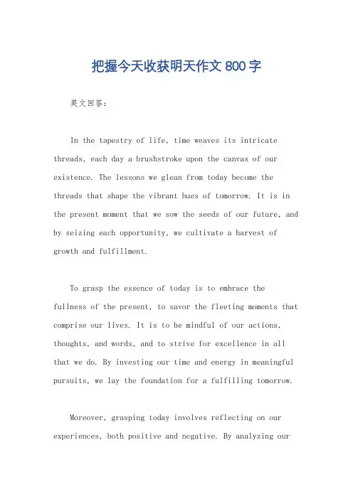 把握今天收获明天作文800字
