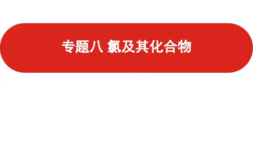 专题八  氯及其化合物(2022高考化学)新高考版