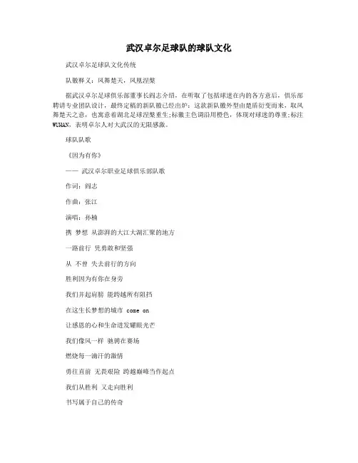 武汉卓尔足球队的球队文化