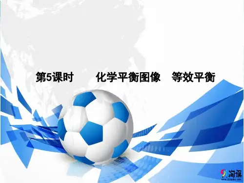课件6：2.3.5 化学平衡图像、等效平衡