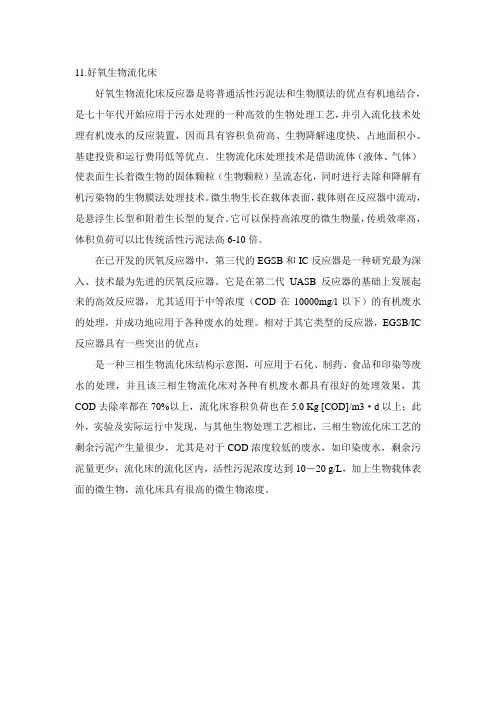11好氧生物流化床