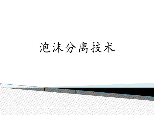 泡沫分离技术..