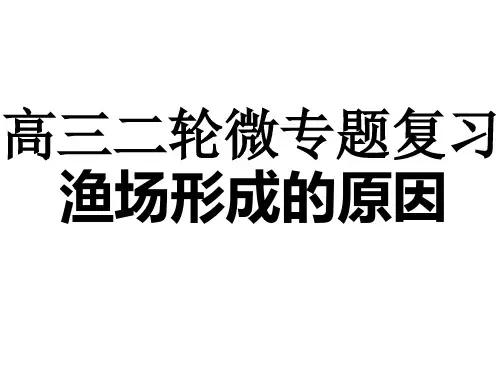 高三二轮微专题复习：渔场形成的原因分析